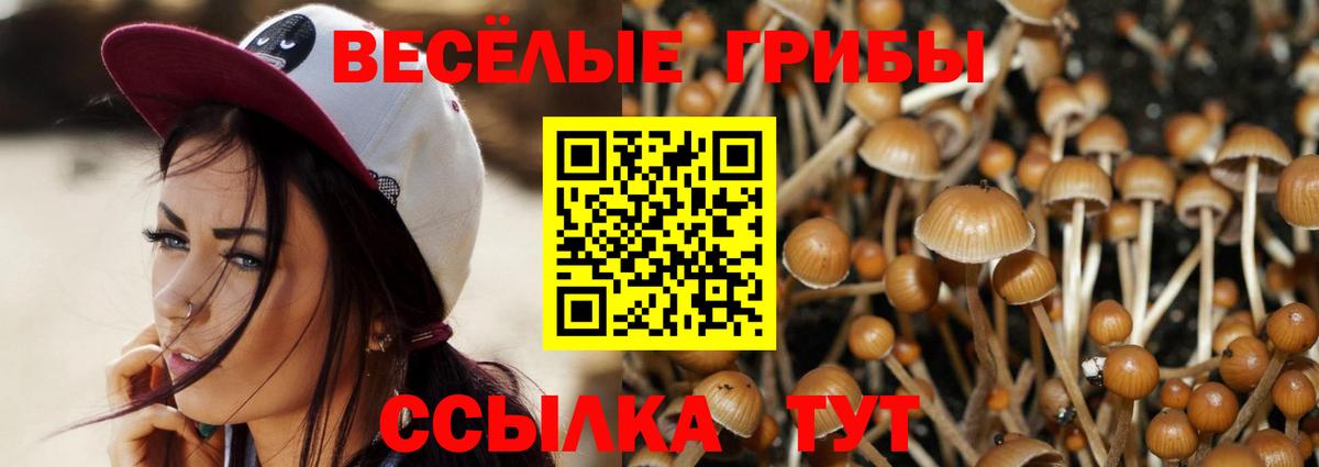 Кимовск  Галлюциногенные грибы Magic Shrooms  Вход с VPN 