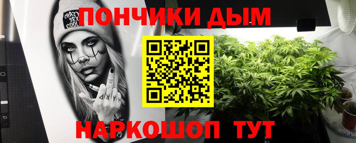 Бошки Шишки планчик Кимовск